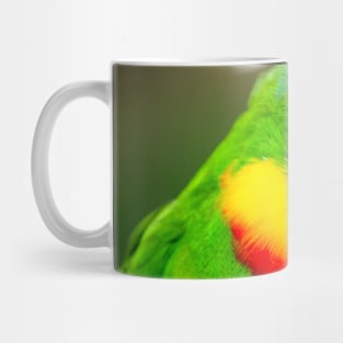 Superb Parrot Mug